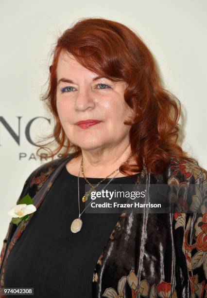 Allison Anders attends the Women In Film 2018 Crystal + Lucy Awards presented by Max Mara, Lancôme and Lexus at The Beverly Hilton Hotel on June 13,...