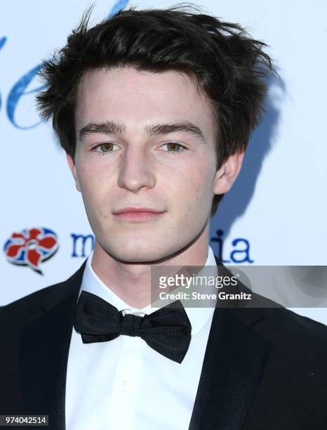 Dylan Summerall arrives at the Magnolia Pictures' "Damsel" Premiere at ArcLight Hollywood on June 13, 2018 in Hollywood, California.