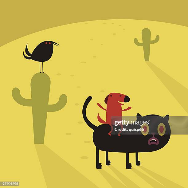 dog is riding a cat - cat looking at camera stock illustrations