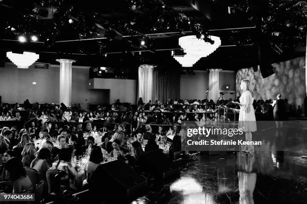 Executive Director of Women In Film, Los Angeles Kirsten Schaffer speaks onstage during the Women In Film 2018 Crystal + Lucy Awards presented by Max...