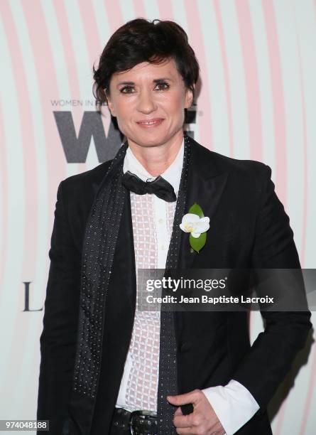 Kimberly Peirce attends the Women In Film 2018 Crystal + Lucy Awards at The Beverly Hilton Hotel on June 13, 2018 in Beverly Hills, California.