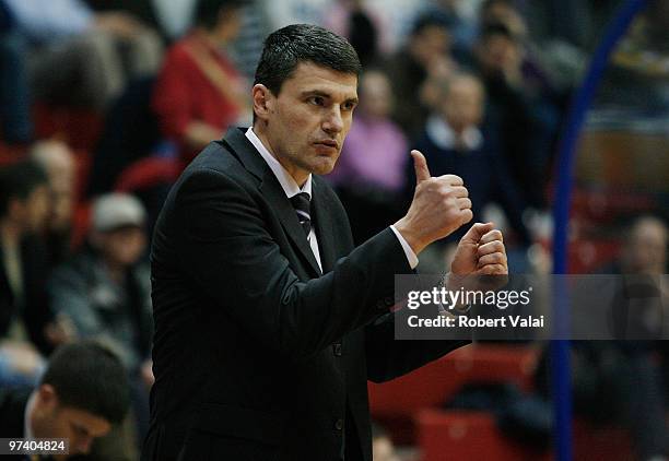 448 Basketball Centre Drazen Petrovic Stock Photos, High-Res