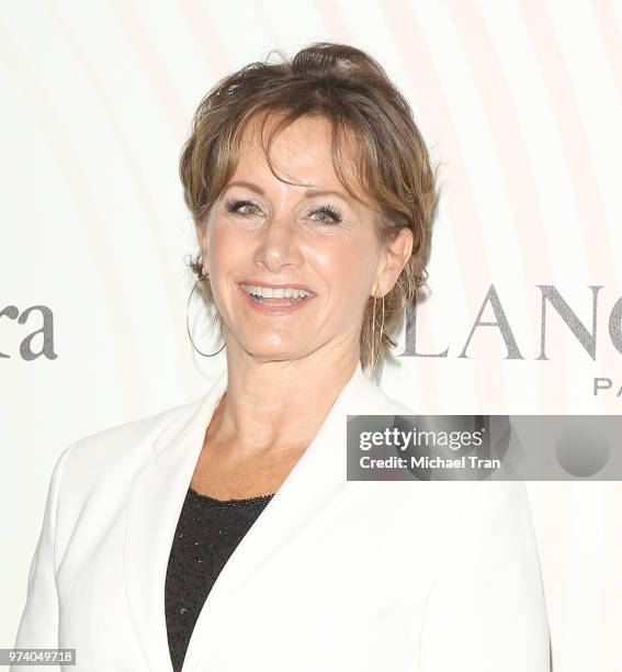 Gabrielle Carteris attends the Women In Film 2018 Crystal + Lucy Awards held at The Beverly Hilton Hotel on June 13, 2018 in Beverly Hills,...