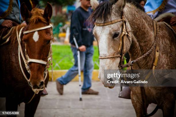 ayuda para caminar - ayuda stock pictures, royalty-free photos & images