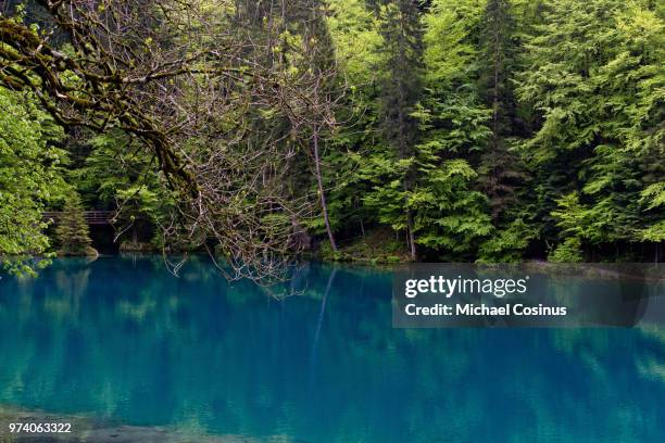 blausee - blausee stock-fotos und bilder