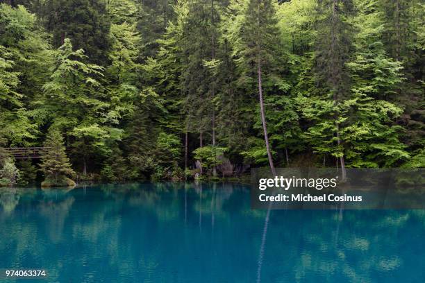 blausee - blausee stock-fotos und bilder