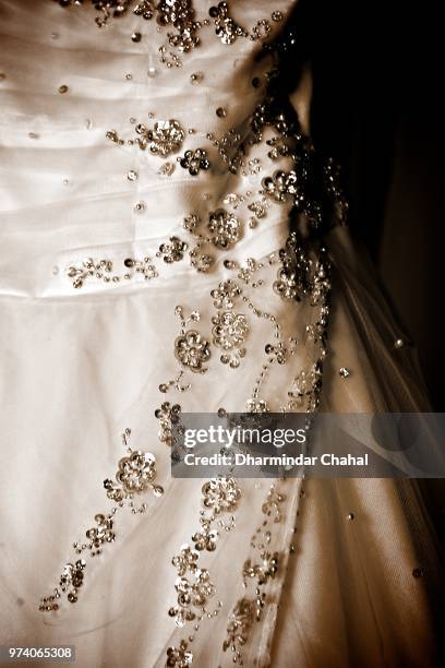 the dress - chahal stock pictures, royalty-free photos & images