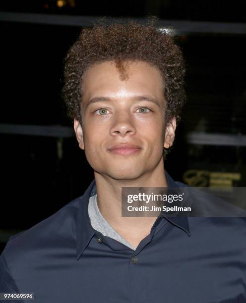 Actor Damon Gillespie attends the screening after party for "The Year Of Spectacular Men" hosted by MarVista Entertainment and Parkside Pictures with...