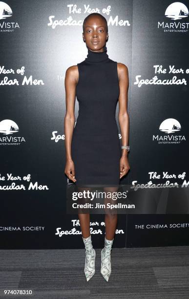 Model Madisin Rian attends the screening of "The Year Of Spectacular Men" hosted by MarVista Entertainment and Parkside Pictures with The Cinema...