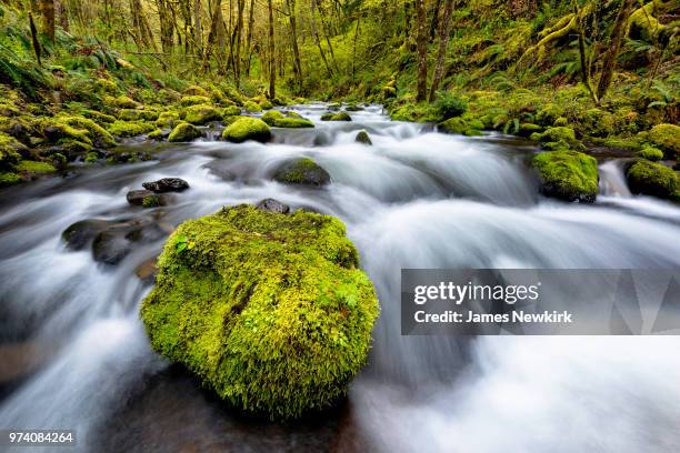 gorton creek - neikirk stock pictures, royalty-free photos & images