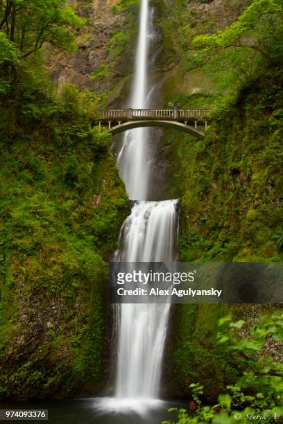 multnomah falls - agulyansky stockfoto's en -beelden