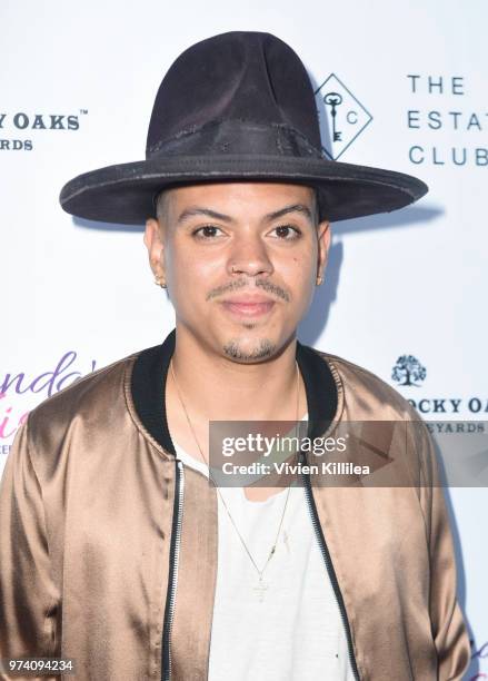 Evan Ross attends Rhonda's Kiss "Kiss The Stars" Cancer Fundraising Dinner at The Estate Club's Sky Castle Estate on June 13, 2018 in Los Angeles,...