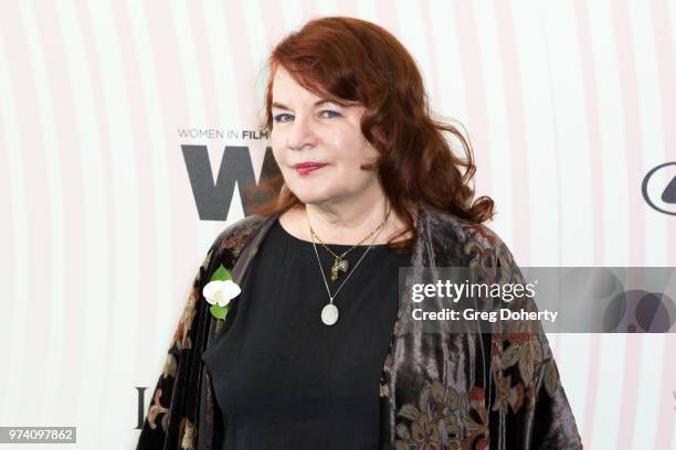 Allison Anders attends Women In Film 2018 Crystal + Lucy Award at The Beverly Hilton Hotel on June 13, 2018 in Beverly Hills, California.