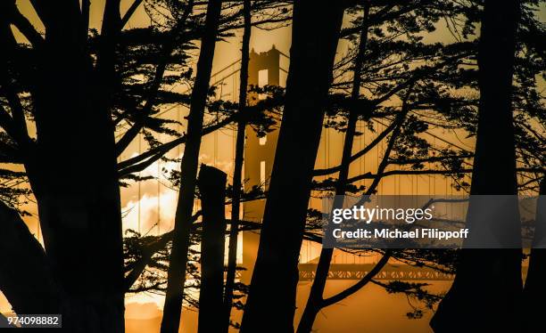 golden gate bridge 75th anniversary celebration - 75th anniversary of the golden gate bridge stock-fotos und bilder