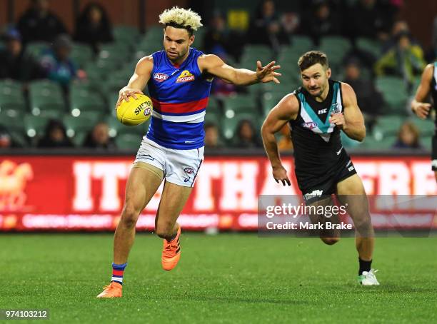 Jason Johannisen of the Bulldogs looks to kick during the round 13 AFL match between Port Adelaide Power and the Western Bulldogs at Adelaide Oval on...