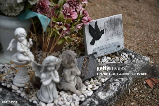 Plaque reading in French "in memory of the little unknown of the A10 highway" is pictured on June 14, 2018 in Suevres, on the grave of an...