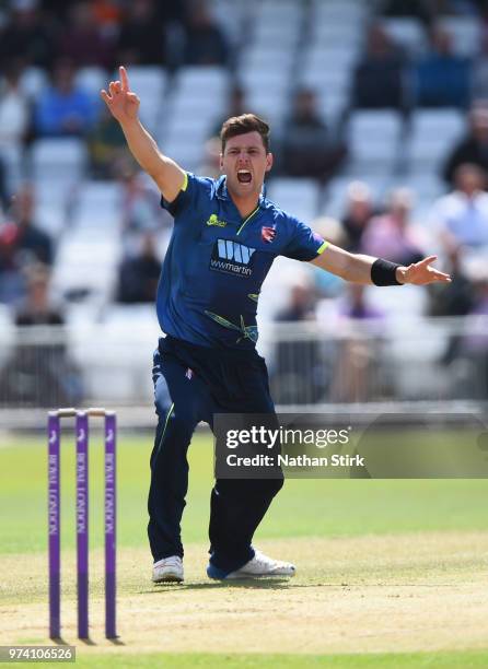 Matt Henry of Kent appeals during the Royal London One-Day Cup match between Nottinghamshire Outlaws and Kent Spitfires at Trent Bridge on June 14,...