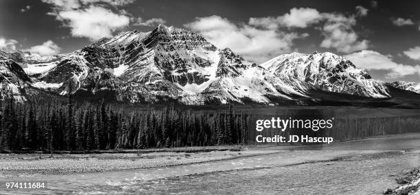 along the athabasca river - athabasca river stock pictures, royalty-free photos & images