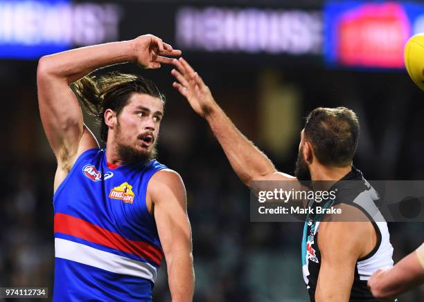 Tom Boyd of the Bulldogs taps past Paddy Ryder of Port Adelaide during the round 13 AFL match between Port Adelaide Power and the Western Bulldogs at...
