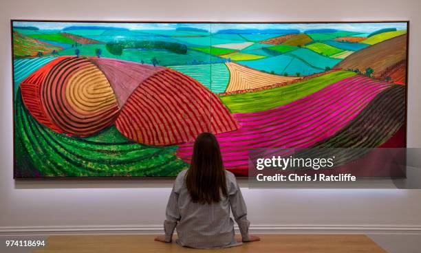 Woman sits on a bench in front of 'Double East Yorkshire' by David Hockney during a preview of the Contemporary Art sale at Sotheby's on June 14,...