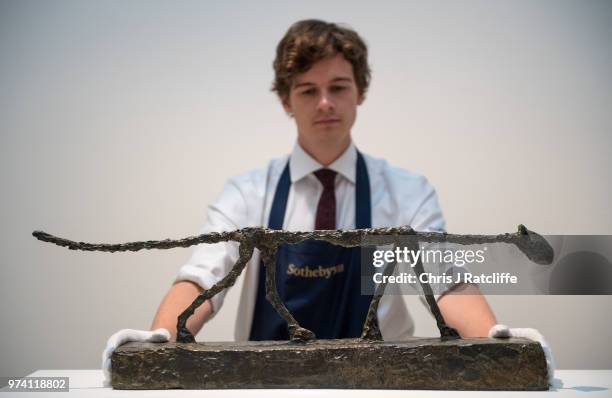 An art handlers holds 'Le Chat' by Alberto Giacometti during a preview of the Impressionist and Modern sale at Sotheby's on June 14, 2018 in London,...