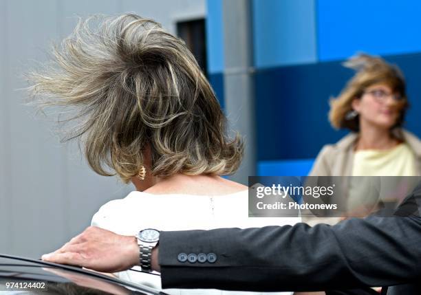 - Koningin Mathilde en de Vicepremier en minister van Ontwikkelingssamenwerking Alexander De Croo zitten een ronde tafel voor met vertegenwoordigers...