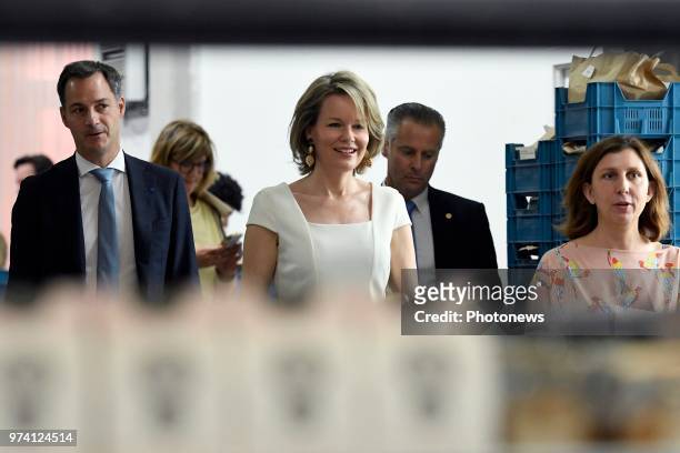 - Koningin Mathilde en de Vicepremier en minister van Ontwikkelingssamenwerking Alexander De Croo zitten een ronde tafel voor met vertegenwoordigers...