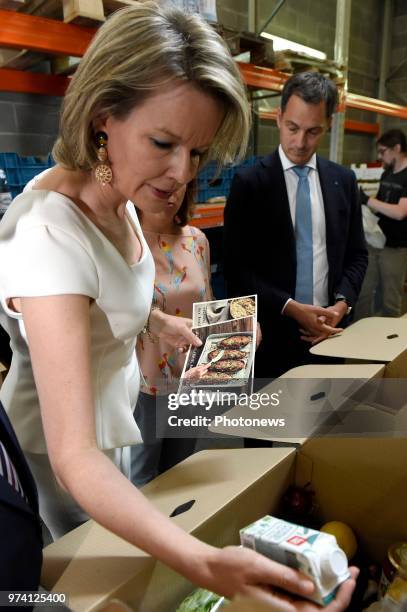 - Koningin Mathilde en de Vicepremier en minister van Ontwikkelingssamenwerking Alexander De Croo zitten een ronde tafel voor met vertegenwoordigers...