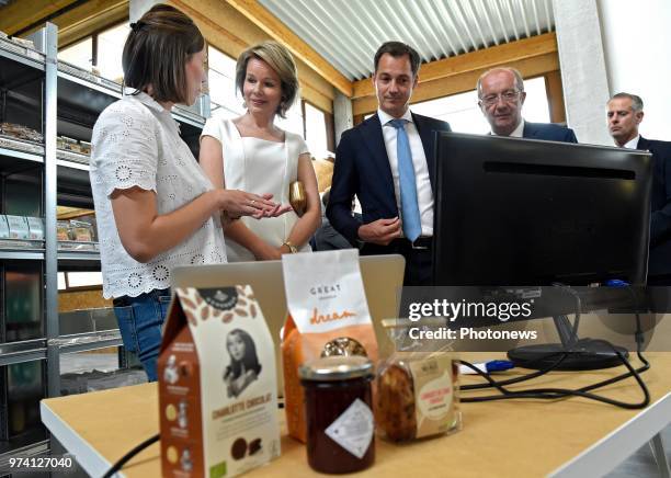 - Koningin Mathilde en de Vicepremier en minister van Ontwikkelingssamenwerking Alexander De Croo zitten een ronde tafel voor met vertegenwoordigers...