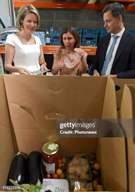 - Koningin Mathilde en de Vicepremier en minister van Ontwikkelingssamenwerking Alexander De Croo zitten een ronde tafel voor met vertegenwoordigers...