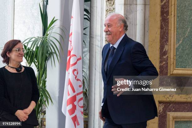 Vicente del Bosque attends Mapfre Foundation Awards 2017 at Casino de Madrid on June 14, 2018 in Madrid, Spain.