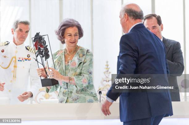 Queen Sofia and Vicente del Bosque attend Mapfre Foundation Awards 2017 at Casino de Madrid on June 14, 2018 in Madrid, Spain.