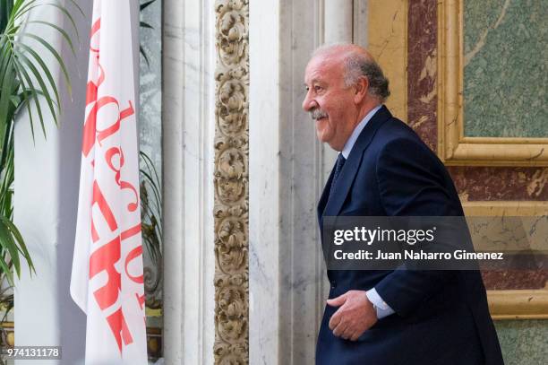 Vicente del Bosque attends Mapfre Foundation Awards 2017 at Casino de Madrid on June 14, 2018 in Madrid, Spain.