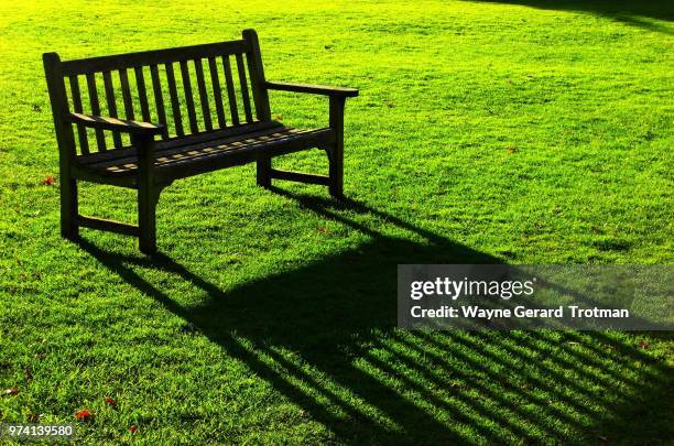 sit and dream of green - wayne gerard trotman stockfoto's en -beelden