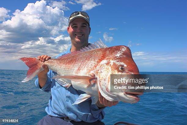 fisherman and red snapper australia - fishing industry stock pictures, royalty-free photos & images