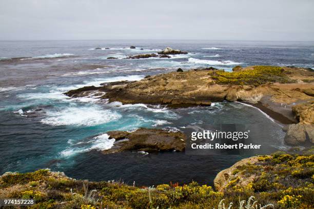 sea otter beach - rocky parker stock pictures, royalty-free photos & images