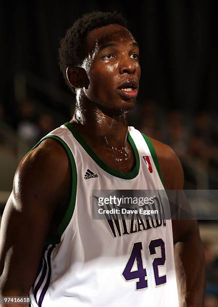 Hasheem Thabeet of the Dakota Wizards catches a breather in the first half of their NBA D-League game against the Albuquerque Thunderbirds March 3,...