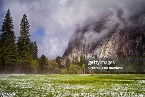 the medows - medows stock pictures, royalty-free photos & images