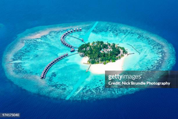 tropical island in the maldives - 無人島 ストックフォトと画像