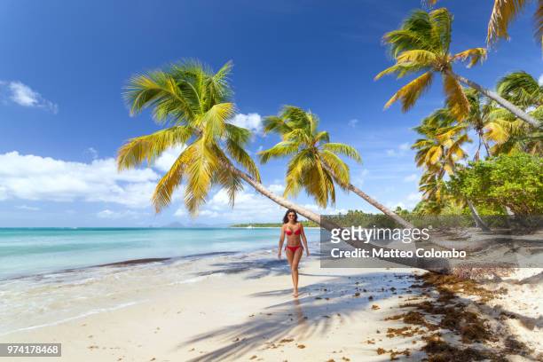 woman in red bikini walking on tropical beach in the caribbean - isla martinica fotografías e imágenes de stock