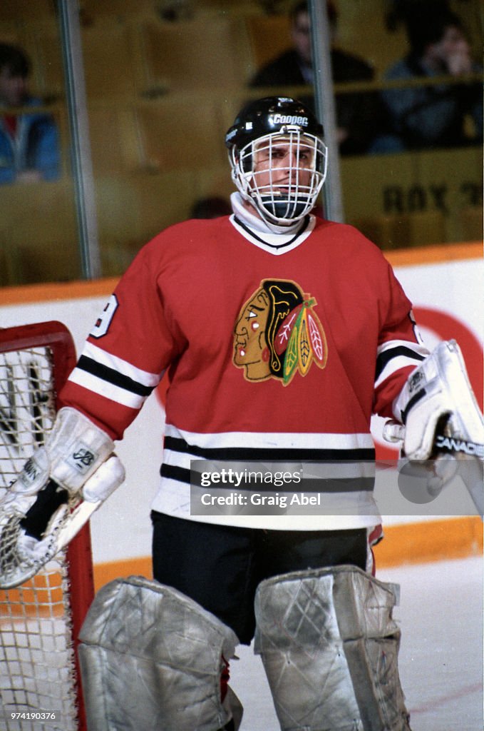 Chicago Black Hawks v Toronto Maple Leafs