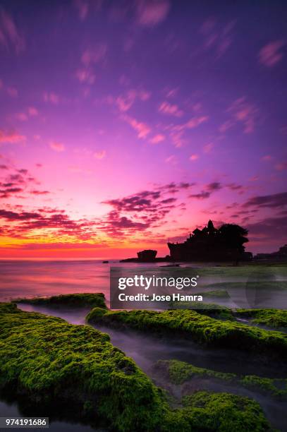 rocky coastline at sunset - hamra stock pictures, royalty-free photos & images