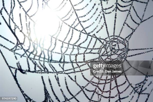 Icey Pattern 28 Icey Pattern Stock Photos, High-Res Pictures, and Images - Getty Images