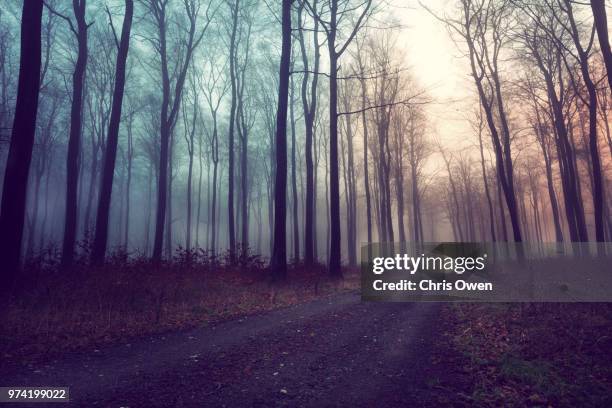 Spooked Reference 1,736 Spooked Stock Photos, High-Res Pictures, and Images - Getty Images