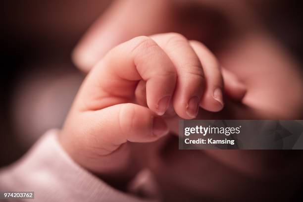 baby girl touching mother's hand, kuala lumpur, malaysia - mom holding baby fotografías e imágenes de stock