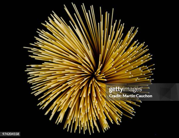 Exploding Pasta 56 Exploding Pasta Stock Photos, High-Res Pictures, and Images - Getty ...