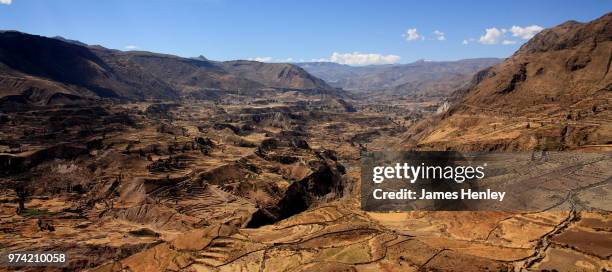 colca canyon, peru - colca stock pictures, royalty-free photos & images