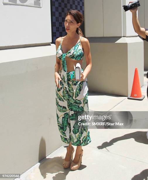 Farrah Abraham is seen on June 13, 2018 in Los Angeles, CA.