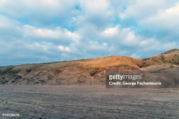 sand dunes on a beach - noord holland stock pictures, royalty-free photos & images