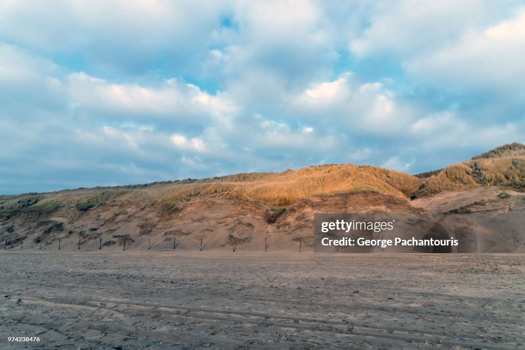 Sand dunes on a beach